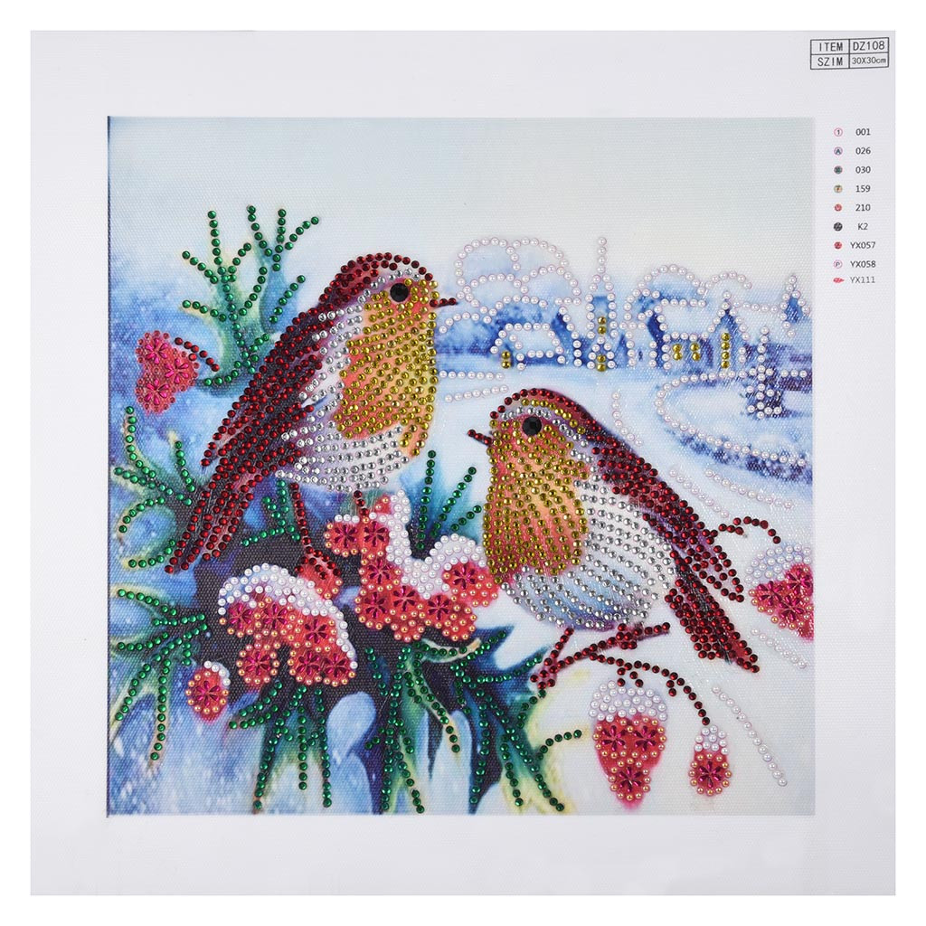 Partial Drill 5D Bird Diamond Painting Embroidery DIY Cross Stitch Kit Art Draw